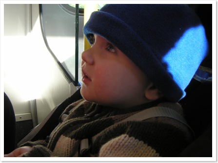 Bert On The Train-3