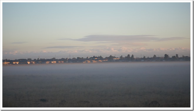 Misty morning in Derrimut